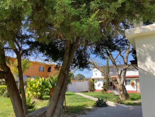 a group of trees in a yard with a house at Villa Sofia in Tlatlauquitepec
