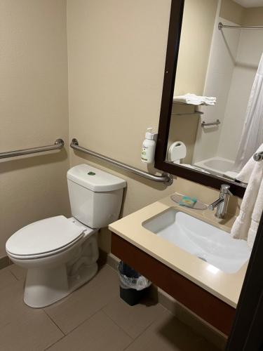 a bathroom with a toilet and a sink and a mirror at Wingate by Wyndham West Mifflin in West Mifflin