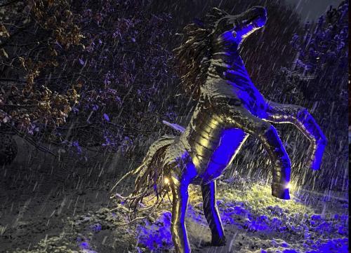 a painting of a horse in the rain at SeaUSasino - Luksusowe Drewniane Domy z Kominkami in Sasino