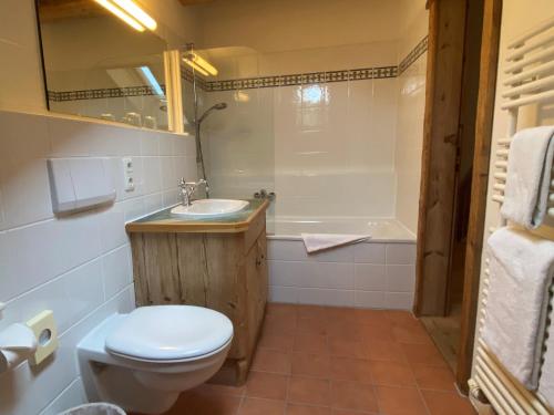 a bathroom with a toilet and a sink and a tub at Chalet Jochpass Ferienwohnungen by HOTEL LANIG - Ferienwohnungen mit Zugang zum WellnessSpa im Hotel Lanig in Bad Hindelang