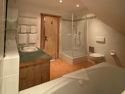 a bathroom with a shower and a toilet and a sink at Chalet Jochpass Ferienwohnungen by HOTEL LANIG - Ferienwohnungen mit Zugang zum WellnessSpa im Hotel Lanig in Bad Hindelang