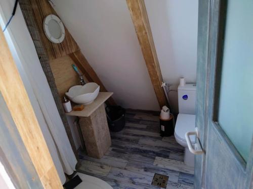 a small bathroom with a sink and a toilet at Razele Trascaului in Rîmeţi