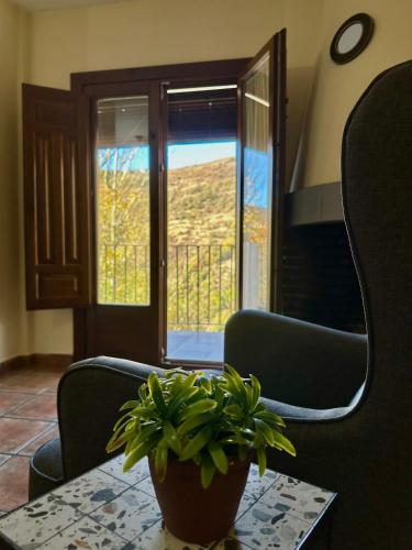 a potted plant sitting on a table in front of a window at Apartamentos Vista Veleta in Capileira