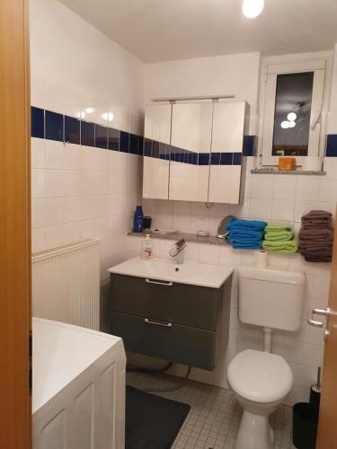 La petite salle de bains est pourvue de toilettes et d'un lavabo. dans l'établissement Casa Barbara, à Sarrebruck