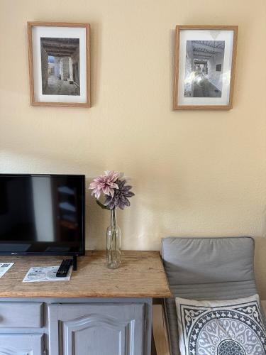 a vase with a flower on a desk with a tv at Apartamentos Vista Veleta in Capileira