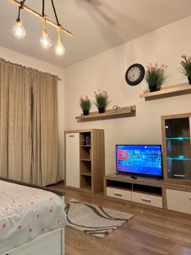 Μια τηλεόραση ή/και κέντρο ψυχαγωγίας στο Apartments Plauen