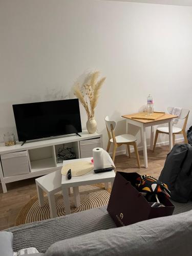 ein Wohnzimmer mit einem Sofa und einem TV in der Unterkunft Studio Cosy et Charmant au cœur de Saint Cyr in Saint-Cyr-lʼÉcole