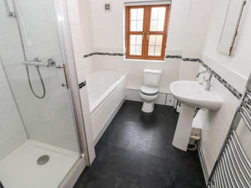 a bathroom with a sink and a toilet and a shower at Ty Melyn in Boncath