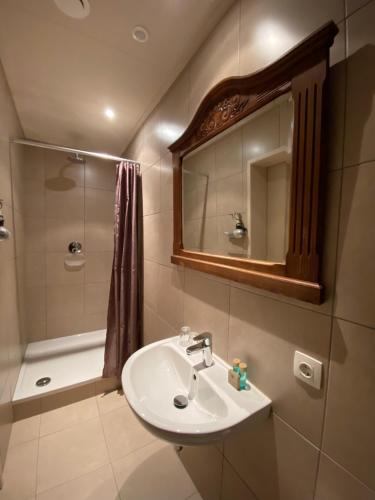 a bathroom with a sink and a shower and a mirror at 's Lands Welvaren in Aardenburg