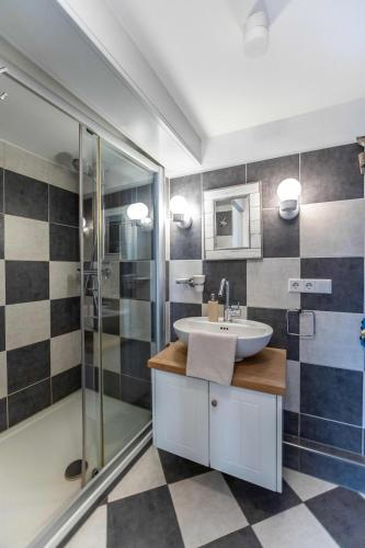 a bathroom with a sink and a shower at Ferienhaus Strandgut in Oevenum