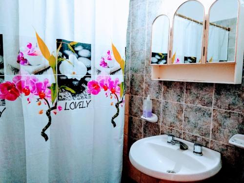 baño con lavabo y cortina de ducha con flores en Signos de Merlo en Merlo