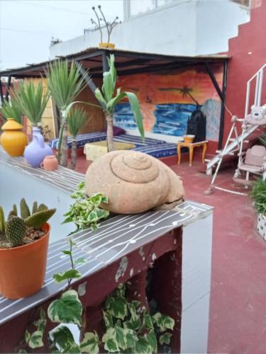 a pot sitting on top of a table with plants at Dar bouazza in Casablanca