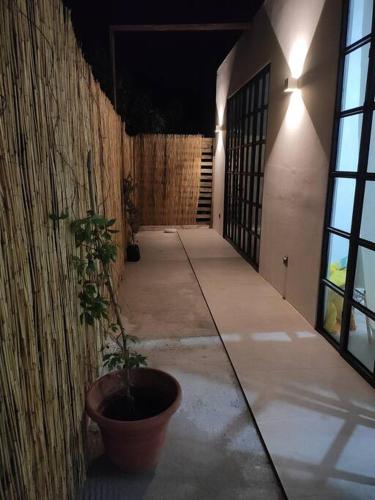 a hallway with a potted plant next to a wall at Amplio departamento CASA MANGO in Ciudad Fernández
