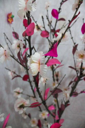 a bunch of pink and white flowers on a branch at Hospedaje Ensueño in Zacatlán
