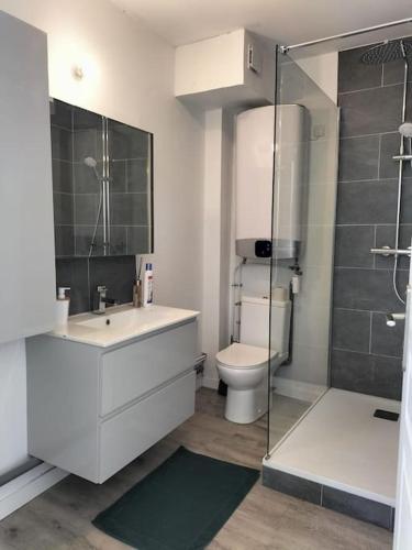 une salle de bain avec toilettes, lavabo et douche dans l'établissement L’Adorable Gayant, à Waziers