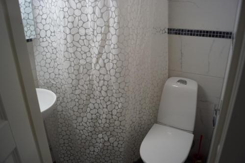 a bathroom with a toilet and a shower curtain at Brabo källare in Landskrona
