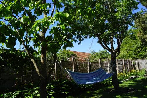 a blue hammock hanging between two trees in a yard at Brabo källare in Landskrona