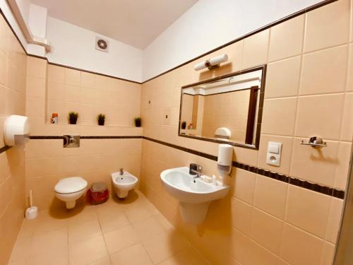 Sufczyn的住宿－Nasz Młyn，一间带水槽、卫生间和镜子的浴室