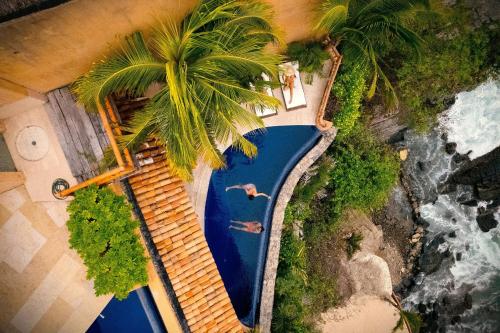 an overhead view of a swimming pool with a palm tree at Villa Peninsula in Zihuatanejo