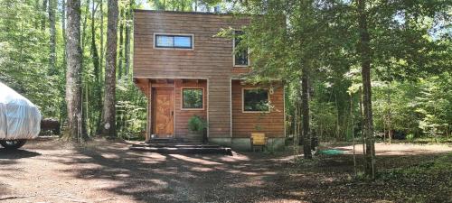 a small wooden cabin in the middle of the woods at Eco lodge mediterraneas in Caburgua