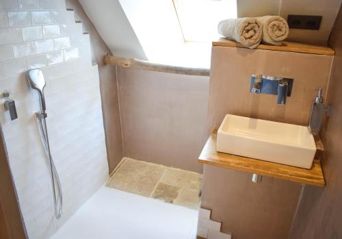 uma pequena casa de banho com um lavatório e um chuveiro em Appartement classé "La Tour" em Dole
