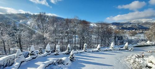 a garden covered in snow with trees and mountains at Willa Bursche in Wisła