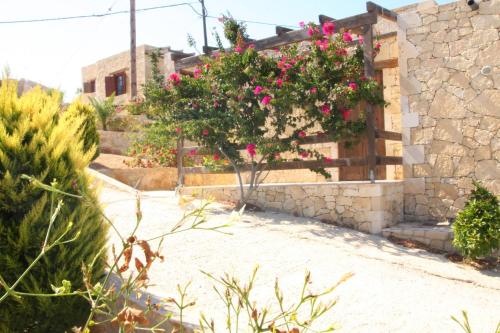 a house with a bush with pink flowers on it at Gavdos Princess in Gavdos