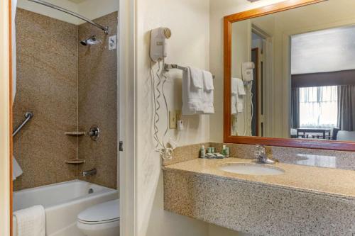 a bathroom with a sink and a toilet and a mirror at Best Western Caprock Inn in Brownfield