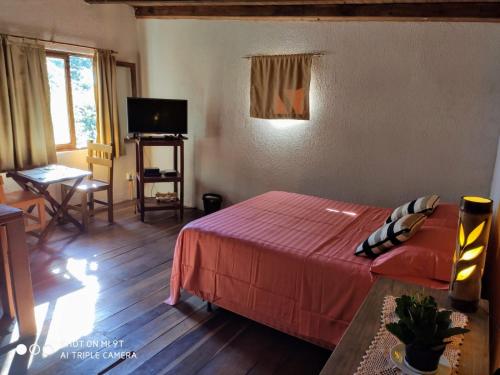 a bedroom with a bed and a table and a television at Parana Inn in Puerto Iguazú