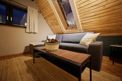 a living room with a couch and a coffee table at Baza Beskid, - Gorąca Bania, Basen, Ogród, Góry in Bielsko-Biala