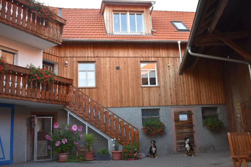 two dogs standing in front of a wooden building at Ferienbauernhof Brandt in Klein-Bieberau