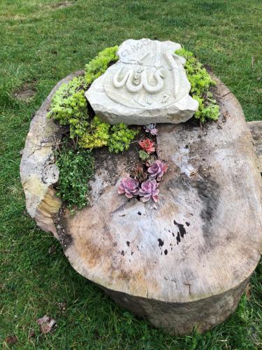 a tree stump with plants on top of it at Happy Hobbit ,2 room jakuzi, Lake view, fireplace in Sapanca 1 in Sapanca