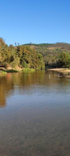 a large body of water with ducks in it at Cabaña en Playa Hermosa in Pichilemu