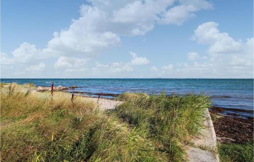 a beach with grass and the ocean on a cloudy day at Amazing Home In Samsø With Kitchen in Onsbjerg