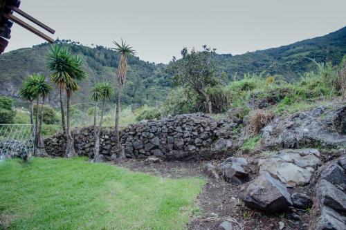 a stone wall and palm trees in a field at Rústic Quinta La Aurora in Baños