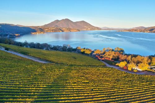 an aerial view of a vineyard next to a lake at Vineyard Setting With 180 Panoramic Lake Views in Lower Lake