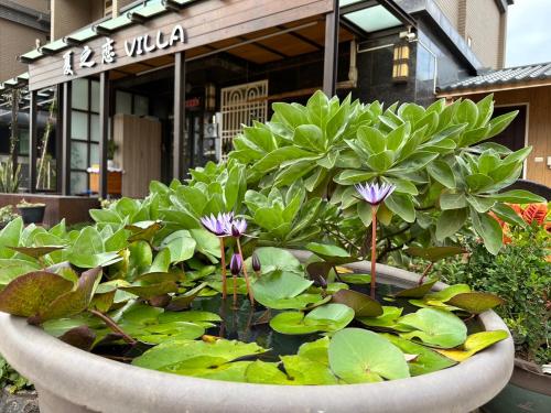 een grote pot water met bloemen en bladeren bij Summer Love Villa in Jinning