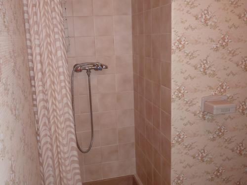 y baño con ducha con cabezal de ducha. en Maison Aix-les-Bains, 5 pièces, 6 personnes - FR-1-555-71, en Aix-les-Bains