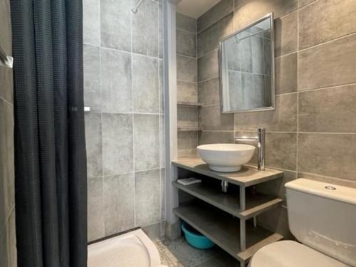 La salle de bains est pourvue d'un lavabo, de toilettes et d'un miroir. dans l'établissement Studio Aix-les-Bains, 1 pièce, 1 personne - FR-1-555-77, à Aix-les-Bains