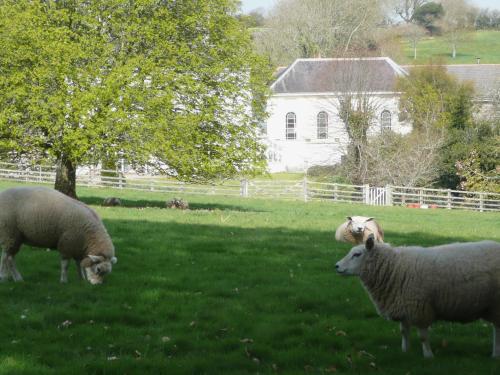 The Music Room – Photos 2