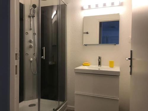 een badkamer met een douche, een wastafel en een spiegel bij Le Johannes-Colmar centre historique in Colmar