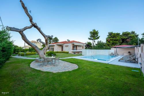 um quintal com uma árvore e uma piscina em Apanemi Villa-Private Pool em Nea Makri