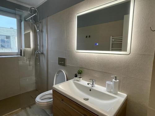 Premium Appartment' in Onesti tesisinde bir banyo