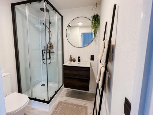een badkamer met een douche, een wastafel en een spiegel bij Stijlvol appartement aan het strand van Oostduinkerke in Oostduinkerke