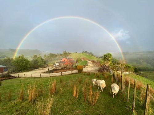 a group of sheep in a field with a rainbow in the background at Nadarra Hideaway in Otorohanga