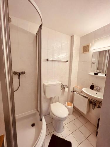 a bathroom with a toilet and a shower and a sink at Ostseehaus Dreesen Souterrain in Timmendorfer Strand