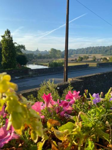 a bunch of flowers in front of a road at La Maison Blanche de Martué in Florenville