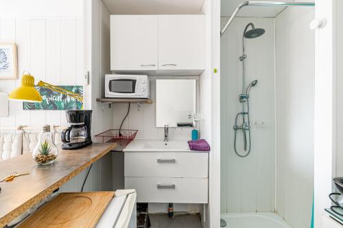 uma pequena cozinha com um lavatório e um micro-ondas em Chez Pierrot 2 em Bandol