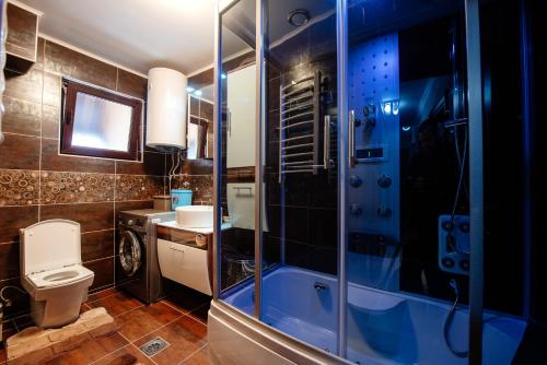 y baño con ducha, aseo y lavamanos. en Loft2, en Kolašin