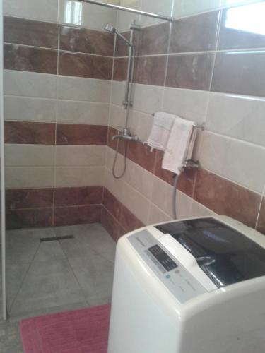 een wasmachine in een badkamer met een douche bij EJC in Flic-en-Flac
